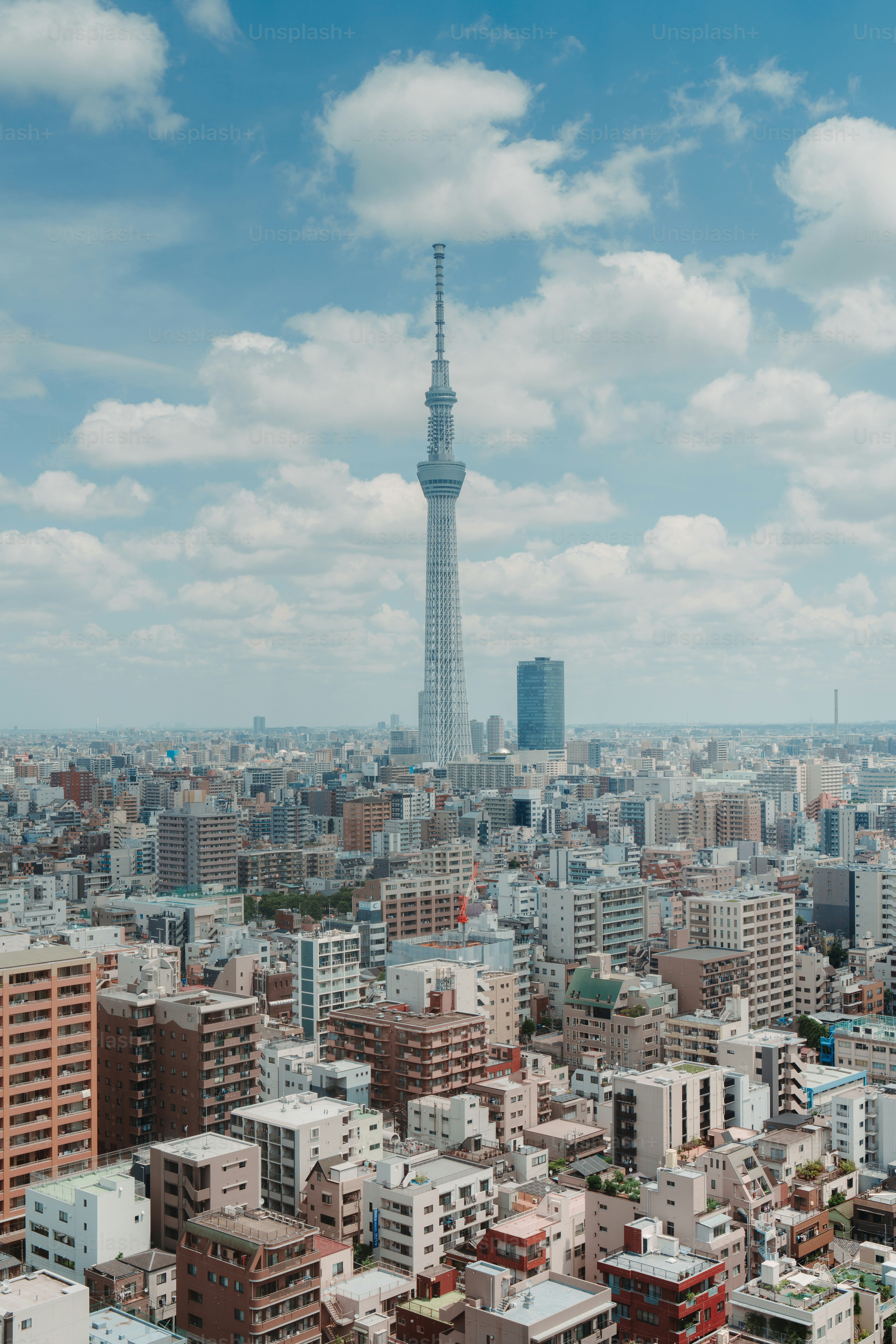 고층 빌딩이 있는 도시의 모습